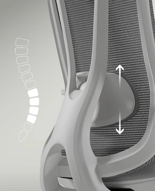Adjustable Lumbar Support