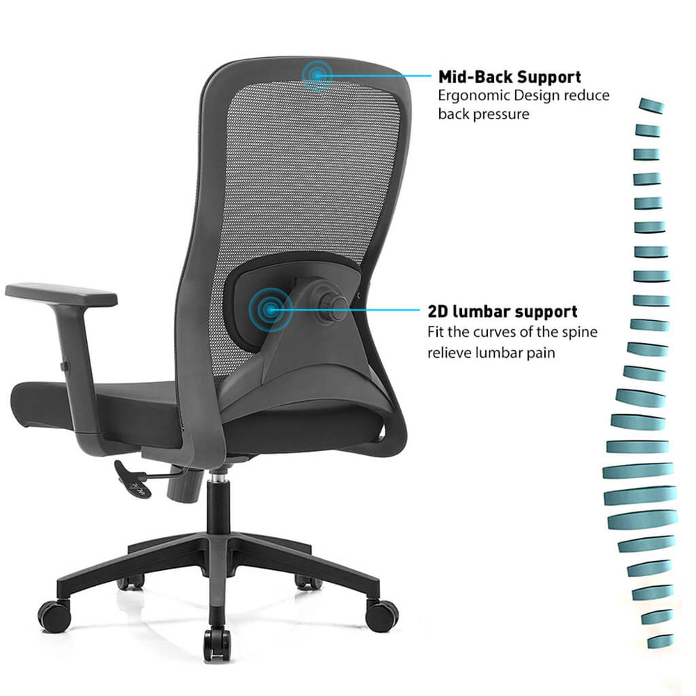 Ergonomic Back & Lumbar Support