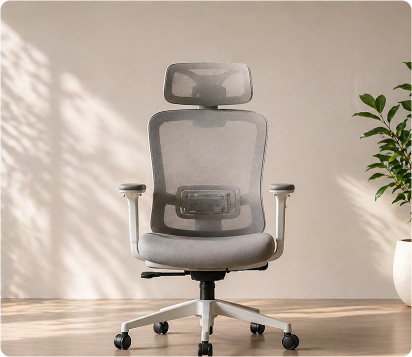 Essential Comfort. Everyday Support.